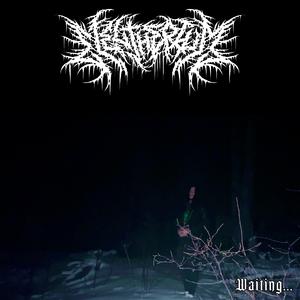 Waiting... (feat. Vaatetorn & Crimson Death)