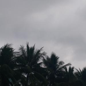 写给J DEMO（prod by poree）