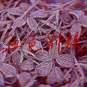 血色荆棘（prod by ZJ Phantom and JackieBoys）