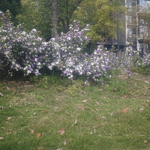 最好嘅時候 (1).mp3