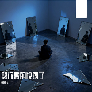 想你想疯了 (Cover)