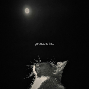 Cat Under the Moon track1.wav