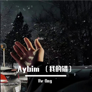 Aybim（我的错）