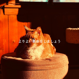 Smooth Jazz Soundtrack for Coffee in Tokyo