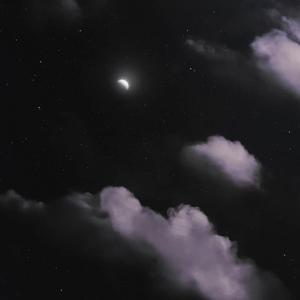 枫夜