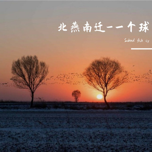 北燕南迁-一个球