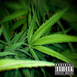 Sexo y Weed (feat. BOI CORTES, Quintanna & Fresh G)