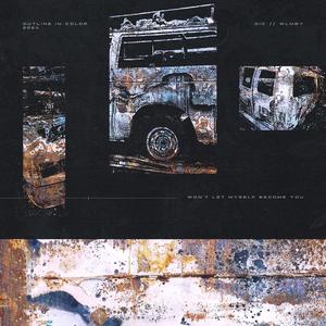 Won't Let Myself Become You