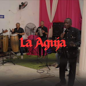 La Aguja (En Vivo)