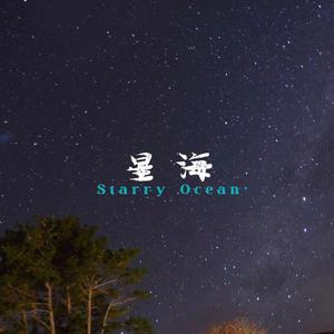 陈亮-枫桥夜泊（FutureWayne remix）