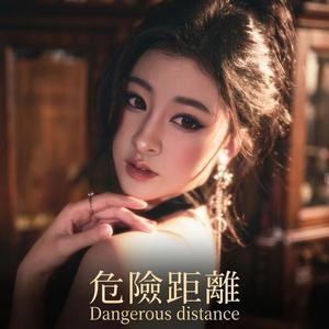 危險距離 Dangerous distance