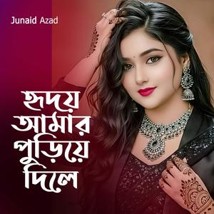 হৃদয় আমার পুড়িয়ে দিলে