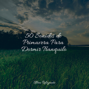 Meditación Relajante