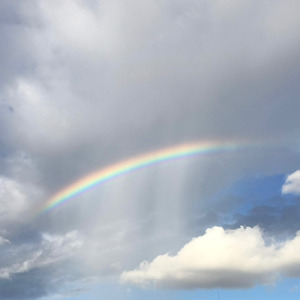 ファイトソング