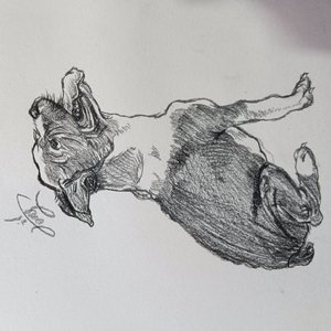 讲真话（Prod By 9Zi）