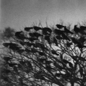 Black Crow (Prod by REVIVAL MUSIC）