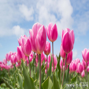 행복을 주는 사람