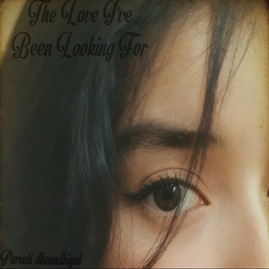 The Love I ve been Looking For