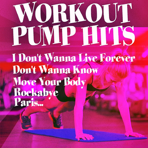 I Don't Wanna Live Forever (Reprise to Zayn, Taylor Swift)