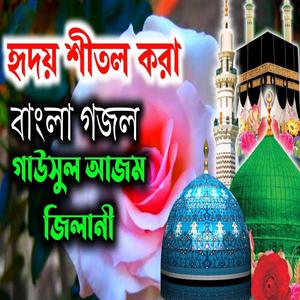 হৃদয় শীতল করা _ Bangla Gojol গাছুল আজম জিলানী বাংলা গজল
