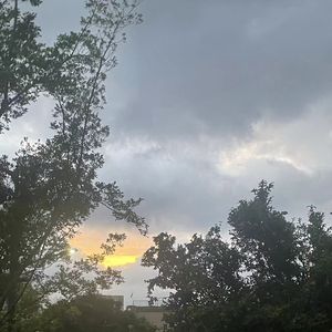 路明非(林宛瑜Freestyle)