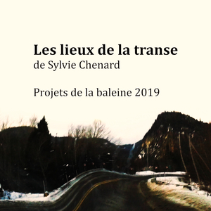 Mouvement de l'insaisissable poétique