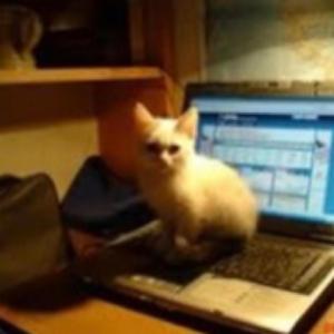 Cant Breathe :( (#cybr version)