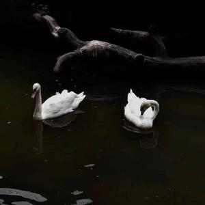 Jah Khalib-Medina（9DIUZ / Dark remix）