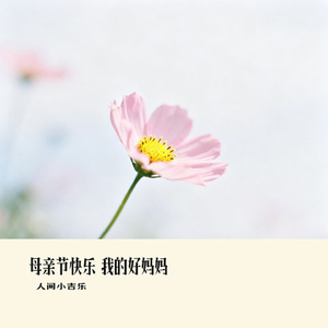 母亲节快乐 我的好妈妈