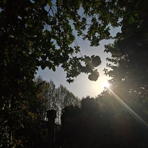 裂缝里的太阳