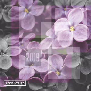 So High (Original Mix)