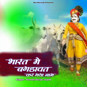 भारत में बगड़ावत कर गया नाम