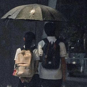 Shining For One Thing（翻自 赵贝尔）