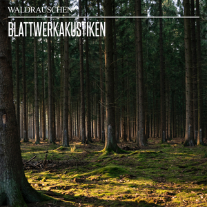 Magischer Waldzauber