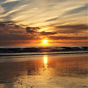 Boat Which Disappearing on the Horizon Near Los Angeles