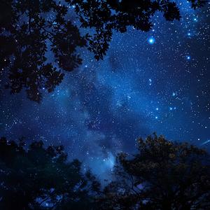 无法成为的星星