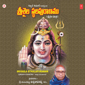 Srisaila Kshetra Pramukyam, Sakshi Ganapathi, Hatakeswaram Paataalaganga Udbavam, Paaladhara Panchadhara, Silaadhuni Vruthantham