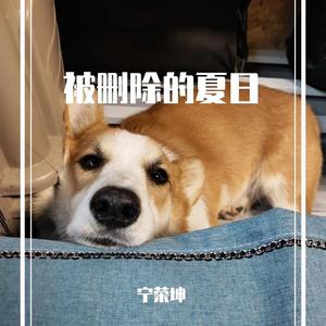被删除的夏日