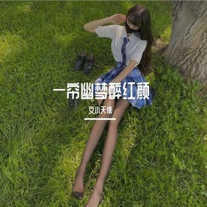 一帘幽梦醉红颜（海南DJ茂版伴奏）