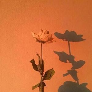 “她”Pt.2（prod.SOGIMURA）