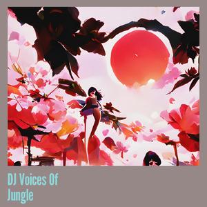 Dj Voices of Jungle