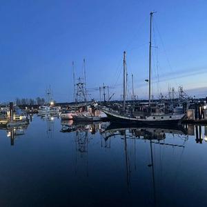 The Wellerman (instrumental cover)