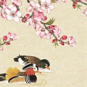 新鸳鸯蝴蝶梦（女声cover）