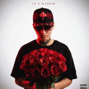 14 X MADRID