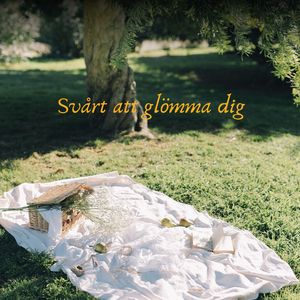 Svårt att glömma dig