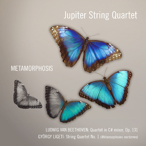 String Quartet No. 1 (Métamorphoses nocturnes)