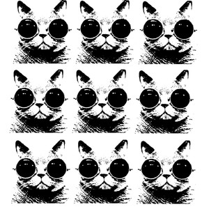 Kilymandiaro Sunset (Original Mix)