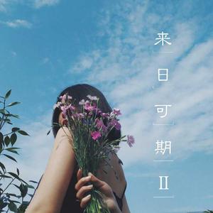 无解（No Solution）