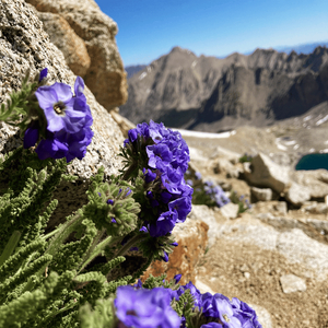 everything that came before