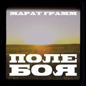 Поле Боя
